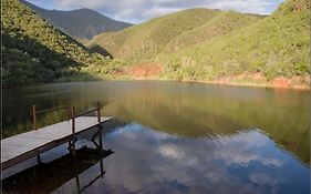 Pat Busch Mountain Reserve
