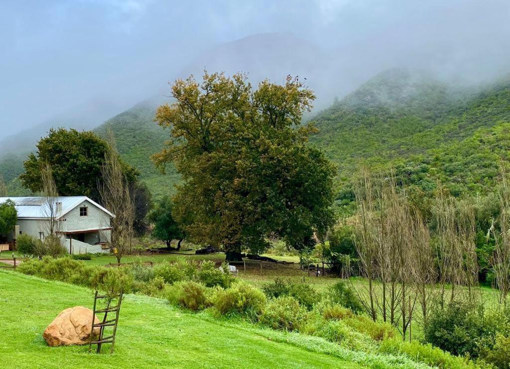 Pat Busch Mountain Reserve Robertson Buitenkant foto