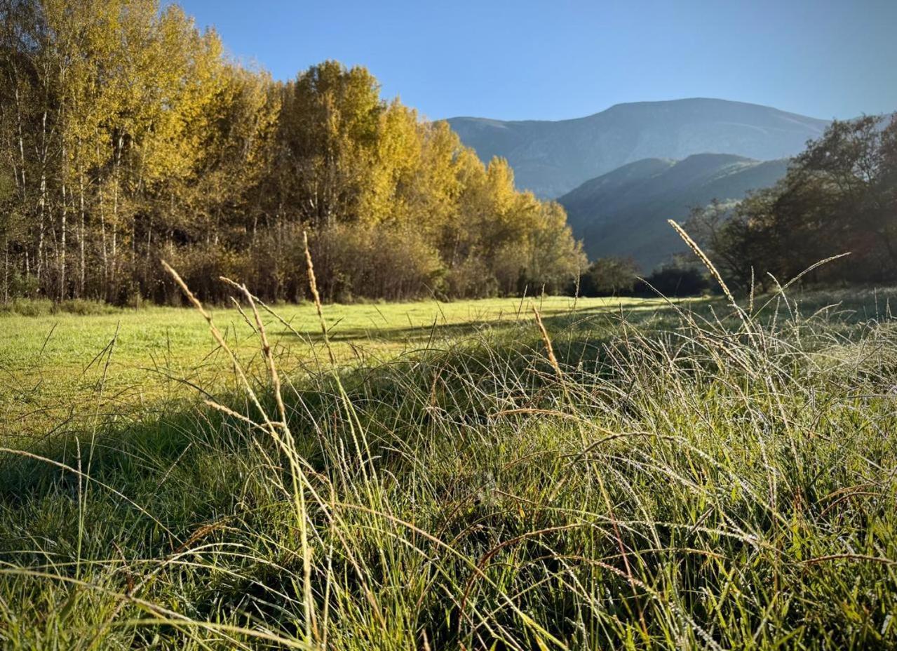 Pat Busch Mountain Reserve Robertson Buitenkant foto