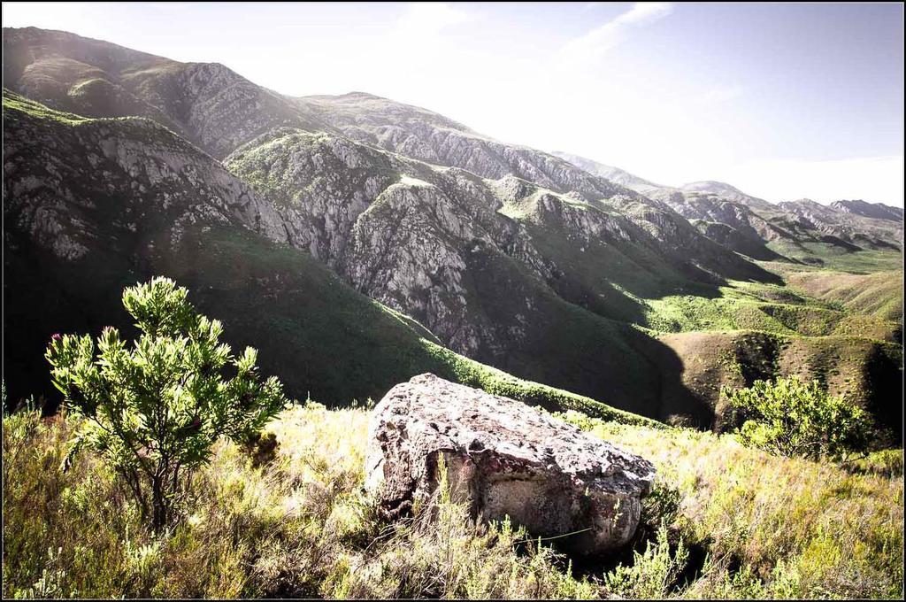 Pat Busch Mountain Reserve Robertson Buitenkant foto