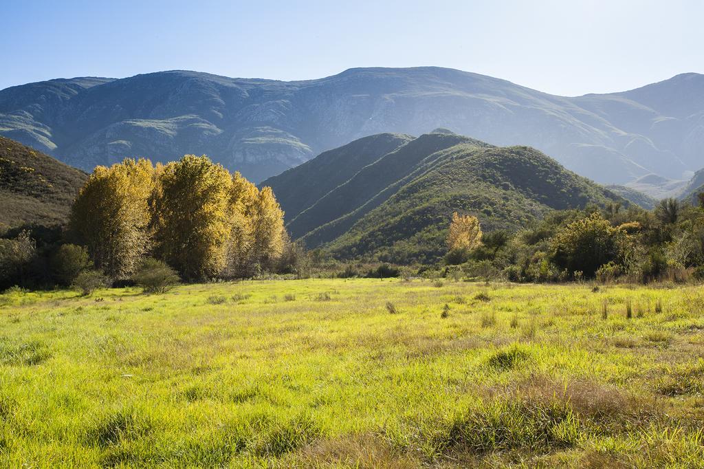 Pat Busch Mountain Reserve Robertson Buitenkant foto