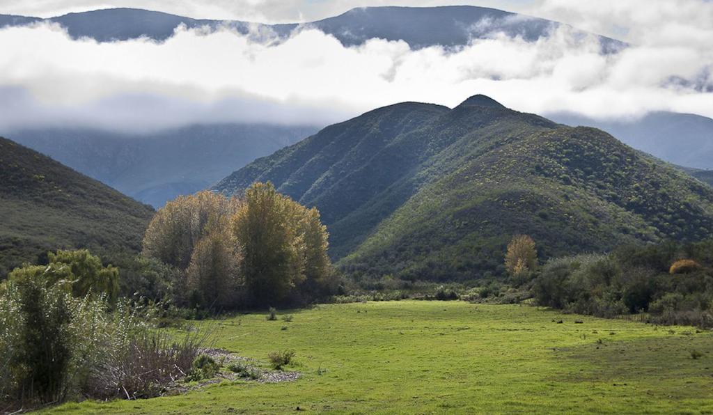 Pat Busch Mountain Reserve Robertson Buitenkant foto